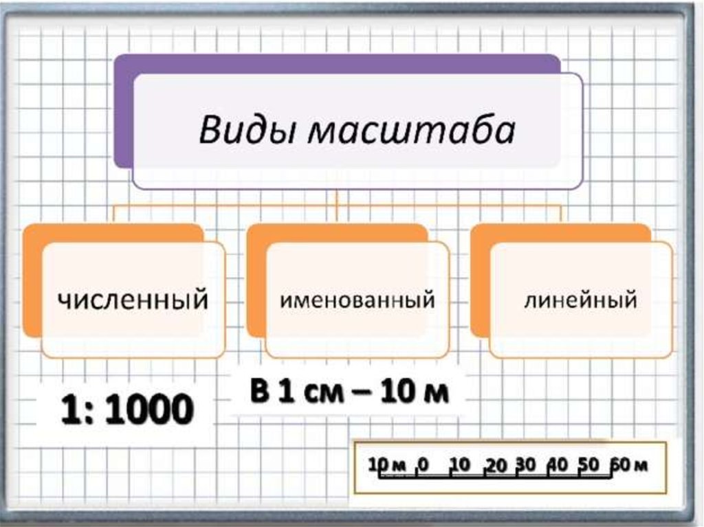 Различного масштаба. Виды масштаба. Виды численных масштабов. Масштаб виды масштабов. Составить схему 