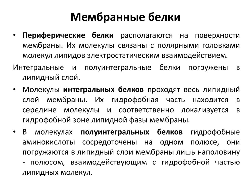 Интегральный белок. Периферические мембранные белки функции. Классификация белков мембраны. Мембранные белки классификация. Периферические и Интегральные белки мембраны функции.