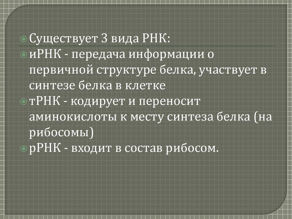 Рибонуклеиновые кислоты - презентация онлайн