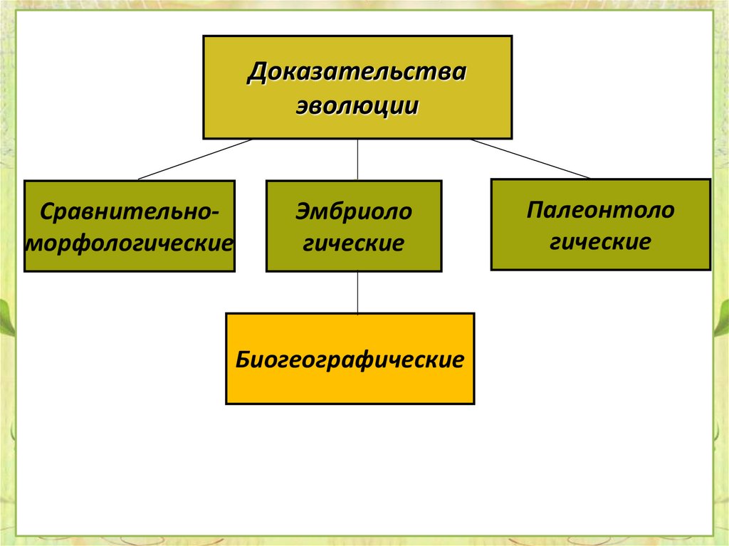 Выбери доказательства эволюции