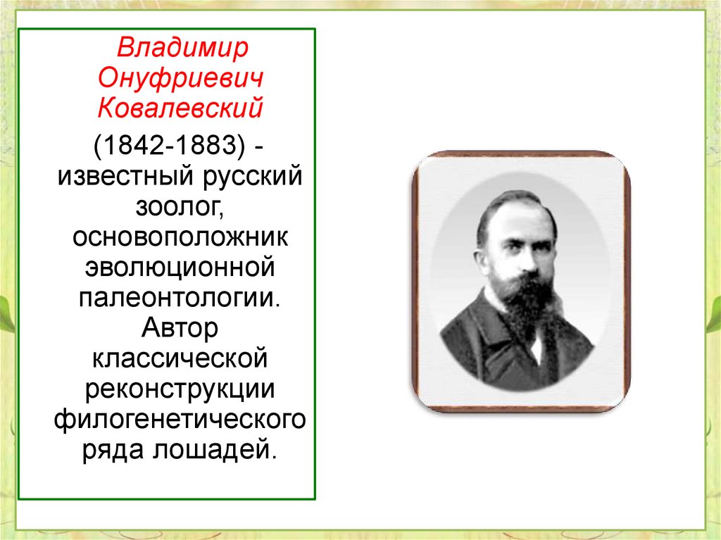 Ковалевский александр онуфриевич презентация