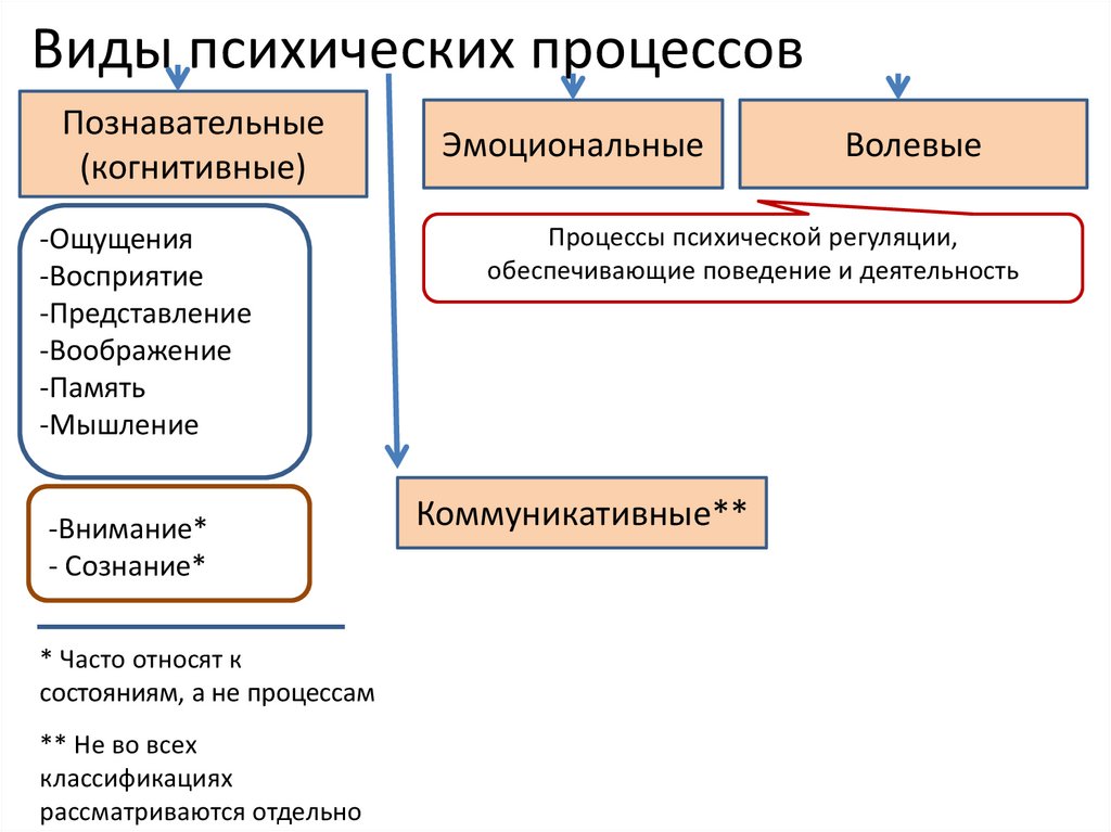 Внутренняя деятельность деятельность и психические процессы. Эмоциональные психические процессы. Эмоционально волевые процессы виды. Психические процессы Познавательные эмоциональные волевые. Психические процессы виды психических процессов.