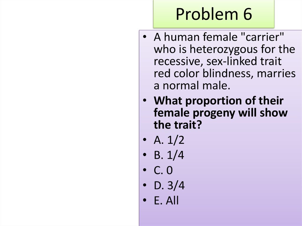 Problem 6