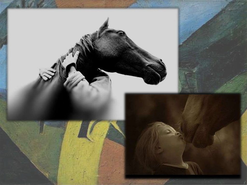 Сострадание в хорошее отношение к лошадям. Хорошее отношение к лошадям иллюстрации. Иллюстрация к стихотворению хорошее отношение к лошадям. Рисунок по хорошее отношение к лошадям. Аппликация на тему хорошие отношения к лошадям.