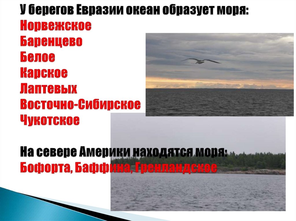 У берегов Евразии океан образует моря: Норвежское Баренцево Белое Карское Лаптевых Восточно-Сибирское Чукотское На севере