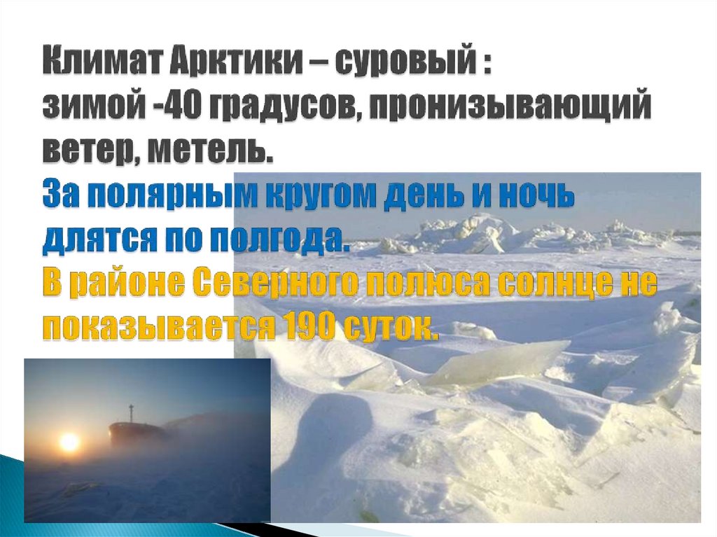 Климат Арктики – суровый : зимой -40 градусов, пронизывающий ветер, метель. За полярным кругом день и ночь длятся по полгода. В