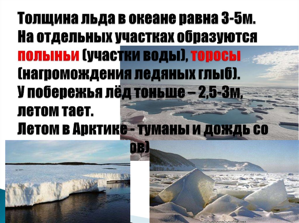 Толщина льда в океане равна 3-5м. На отдельных участках образуются полыньи (участки воды), торосы (нагромождения ледяных глыб).