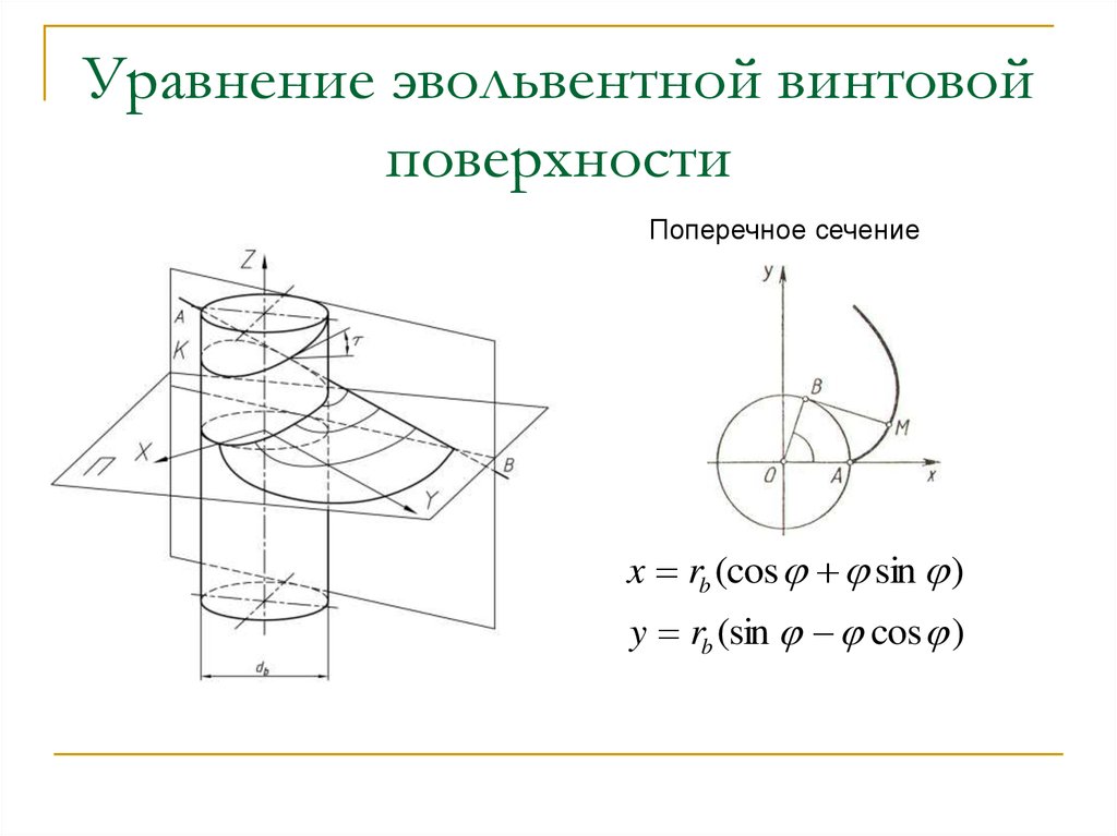 Винтовые цилиндрические поверхности