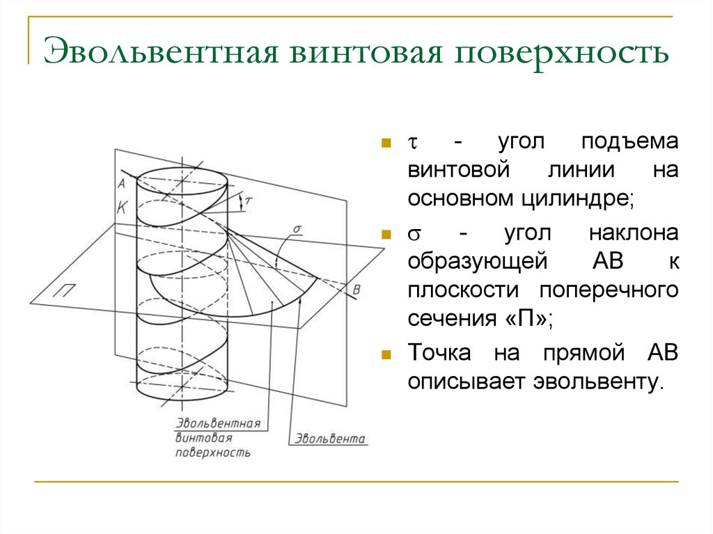 Винтовые цилиндрические поверхности