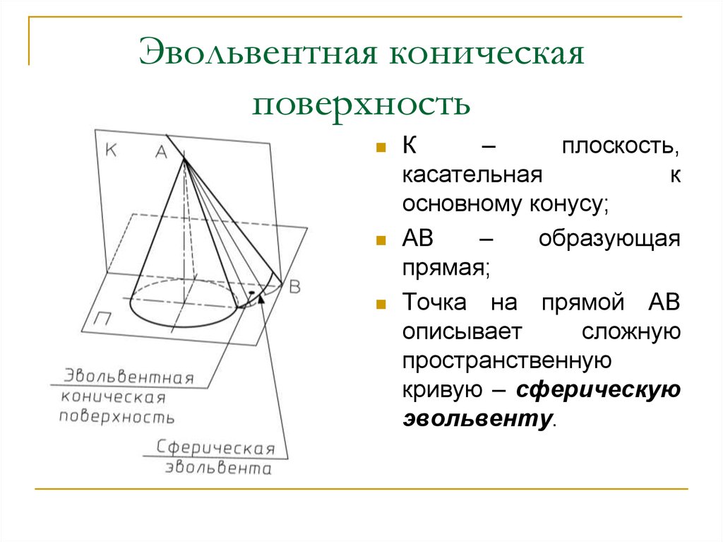 Образующая прямая. Коническая поверхность. Коническая плоскость. Касательная плоскость к конусу. Эвольвентная поверхность.