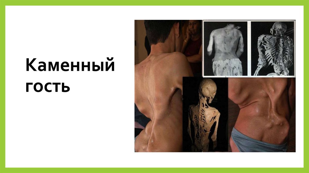 Каменный гость