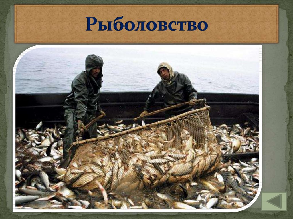 Рыболовство