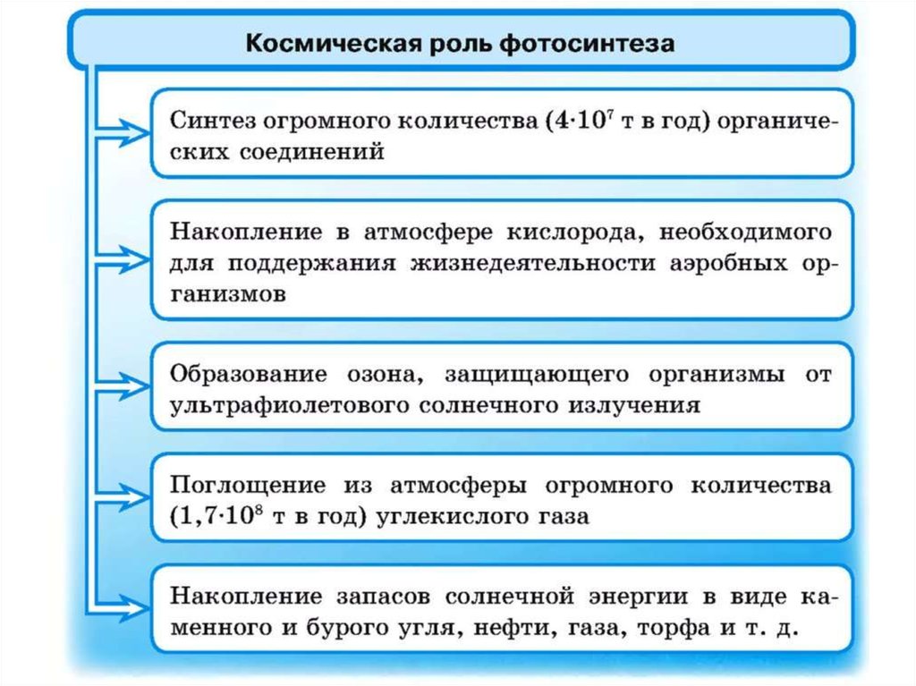 Космическая роль. Космическая роль фотосинтеза. Значение фотосинтеза. Космическая роль фотосинтеза схема. Значение и Космическая роль фотосинтеза.