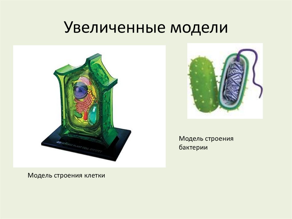 Расширена модель