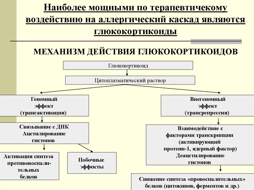 Механизм действия противоаллергических средств. Классификация противоаллергических лекарственных препаратов. Механизм действия противоаллергических средств фармакология. Классификация противоаллергических средств фармакология. Противоаллергические лекарственные средства фармакология.