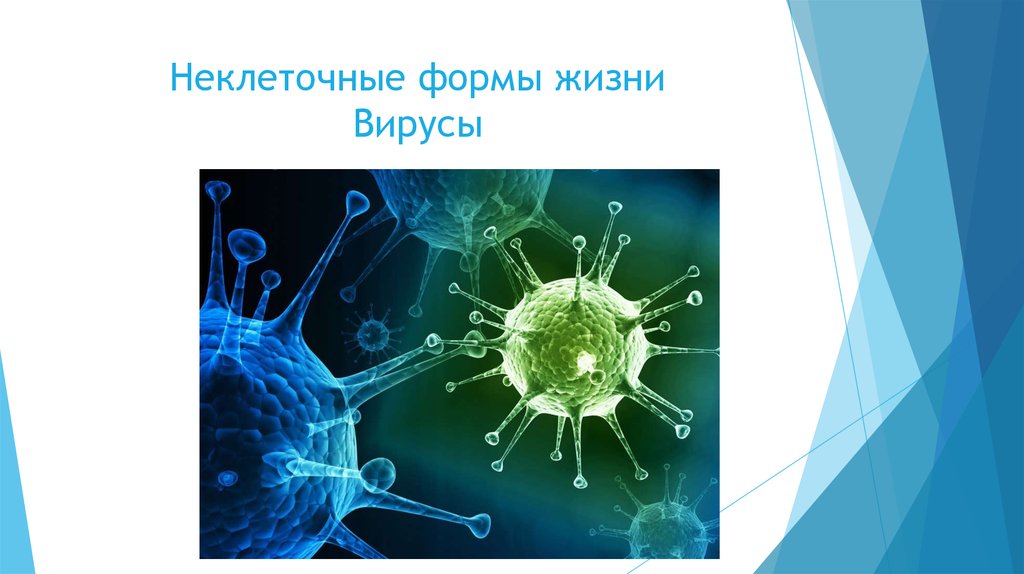 Неклеточные формы жизни вирусы бактерии. Неклеточныемформы жизни. Неклеточные формы жизни. Вирусы неклеточные формы. Вирусы внеклеточная форма жизни.
