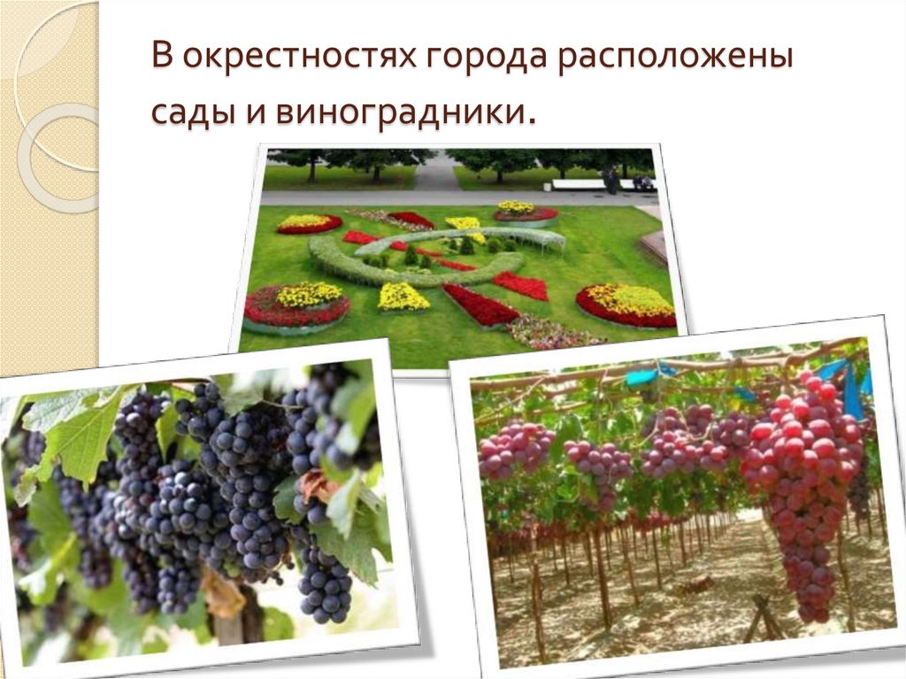 В окрестностях города расположены сады и виноградники.