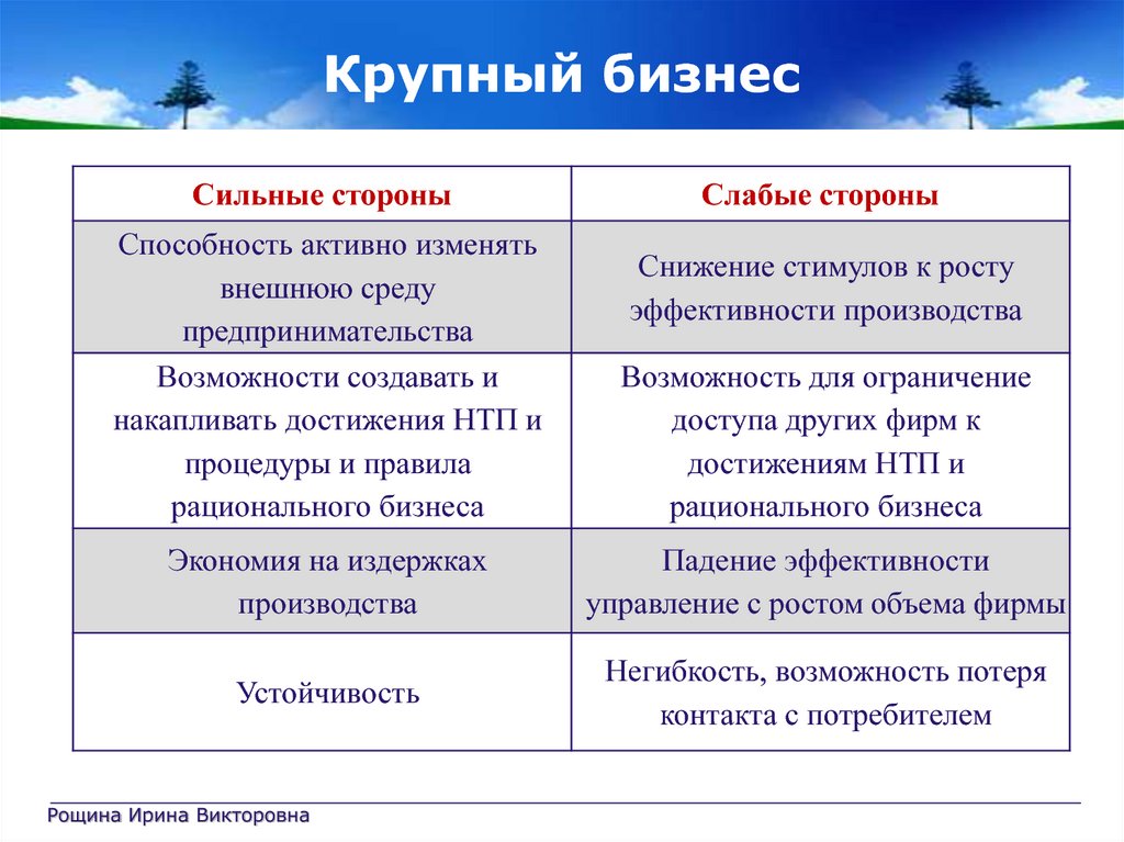 Виды бизнеса малый средний