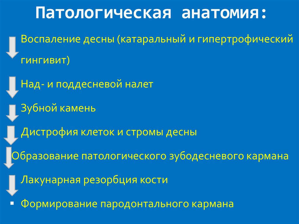 Воспаление патанатомия презентация