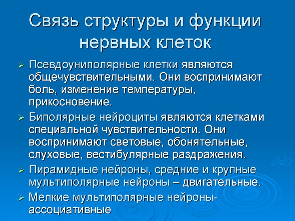 Взаимосвязь строения и функции клетки