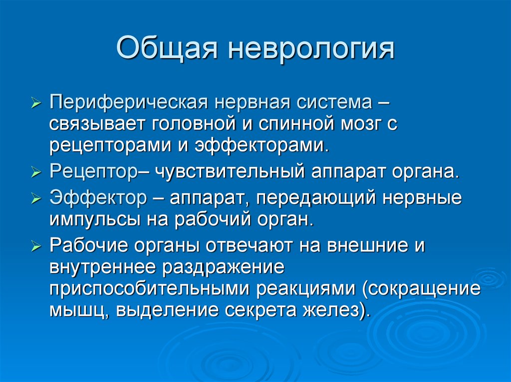 Периферическая нервная система неврология презентация