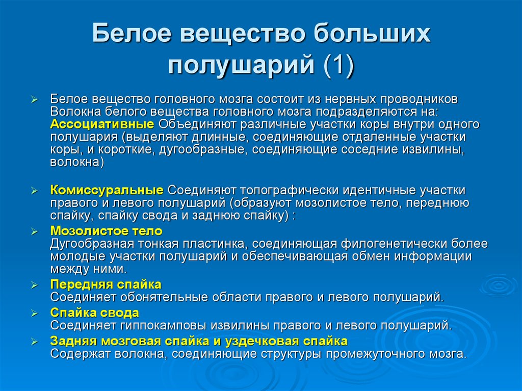 Соединение белой. Белое вещество больших полушарий. Белое бещество полушарии. Строение и функции белого вещества больших полушарий. Белое вещество полушарий большого мозга.