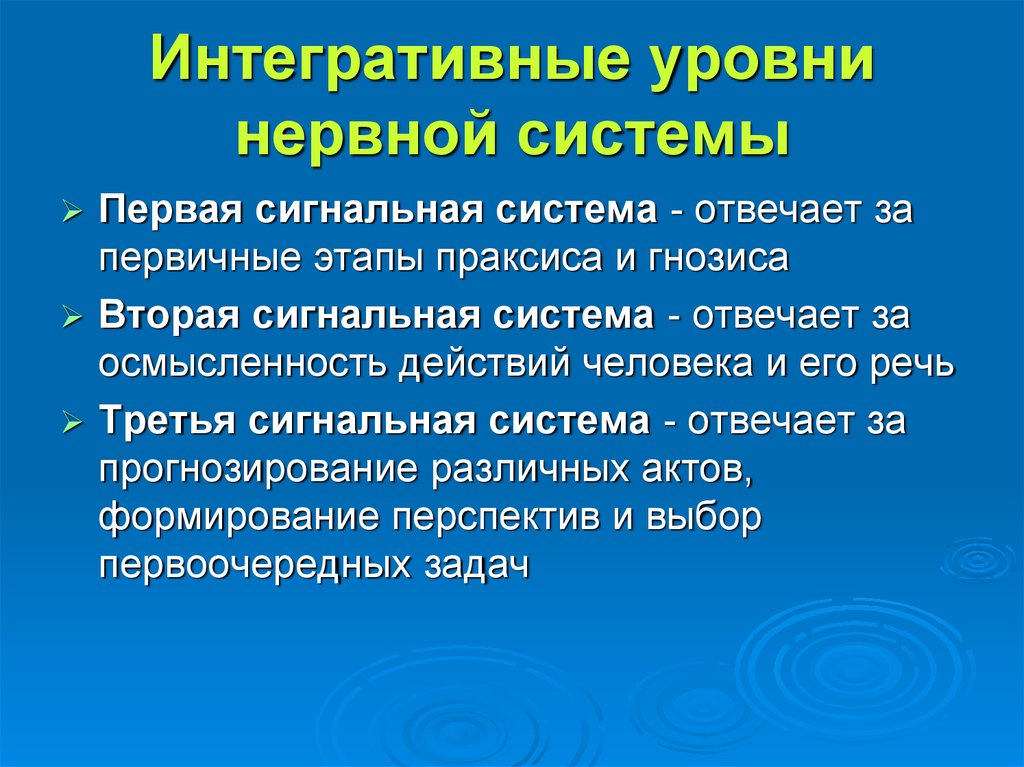 Третья сигнальная система. Сигнальные системы человека. Первичная и вторичная сигнальные системы. Уровни сигнальной системы.