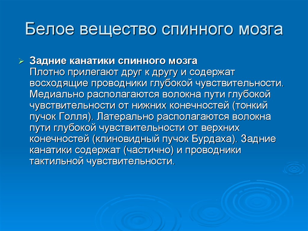 Презентации по неврологии для студентов