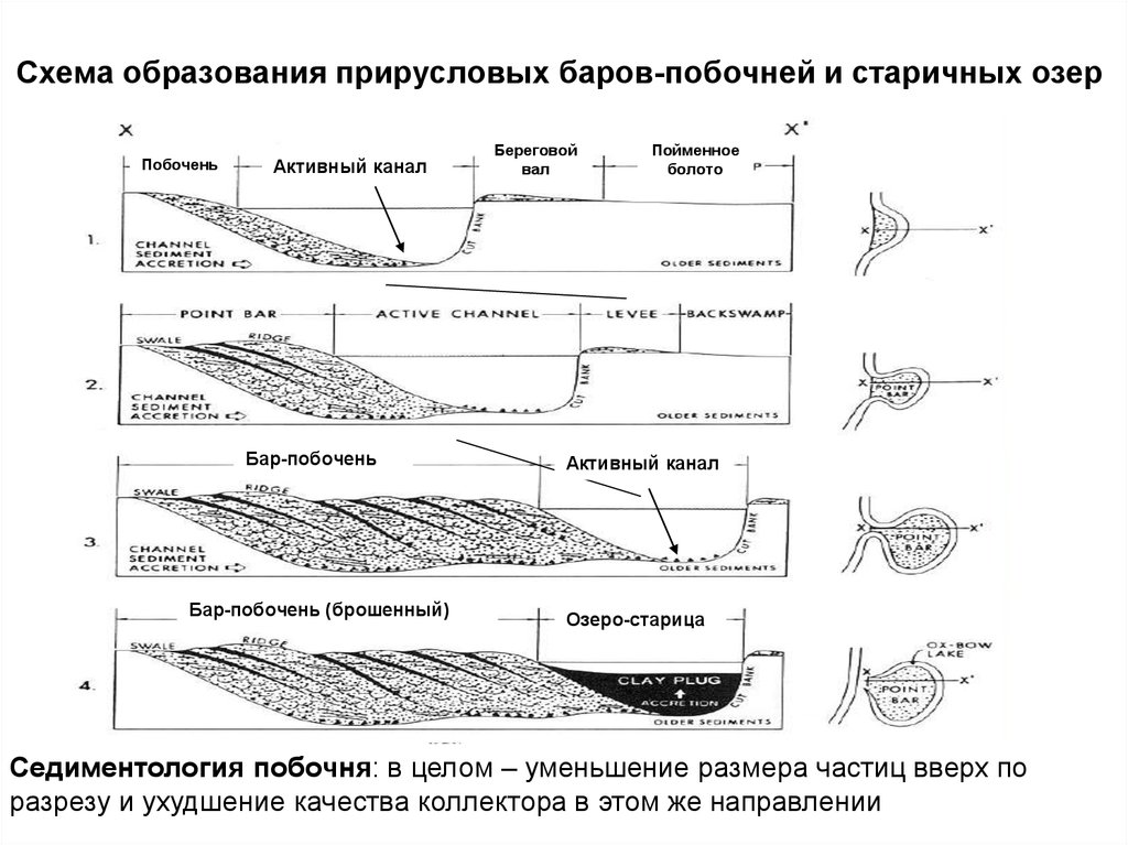 Схема образования онлайн