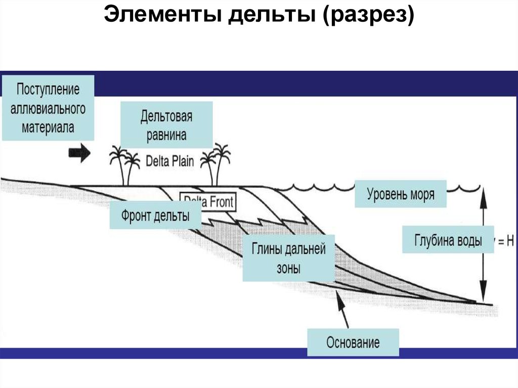 Дельта это. Элементы дельты. Строение дельты Геология. Элементы строения дельты. Фронт дельты.