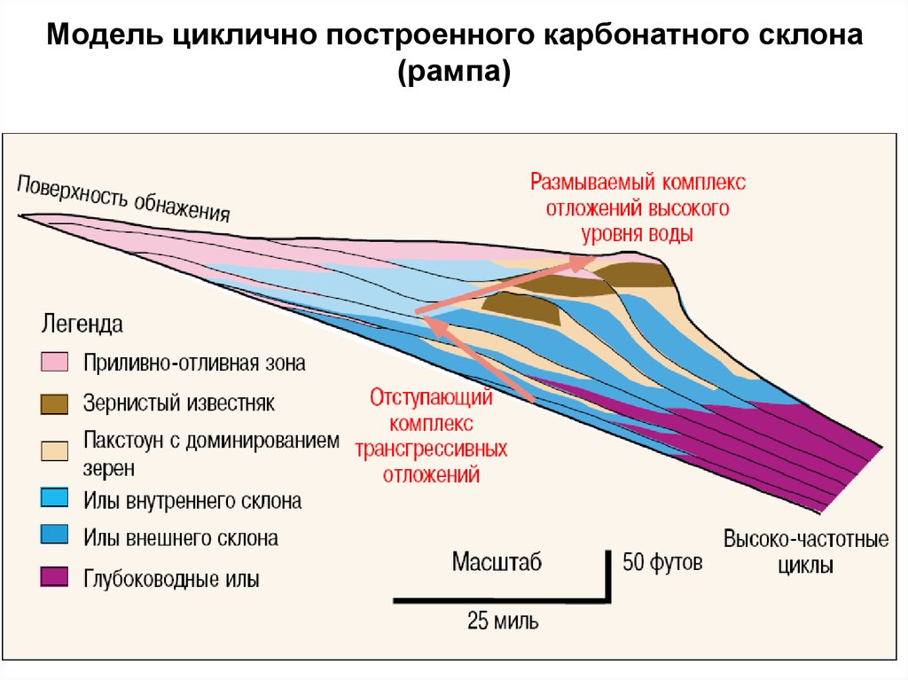 Циклично. Рамп Геология. Карбонатная платформа схема. Карбонатный рамп. Окаймленная карбонатная платформа.