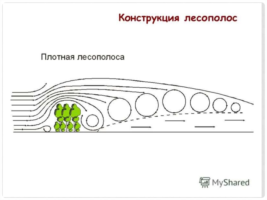 Карта лесополос ссср