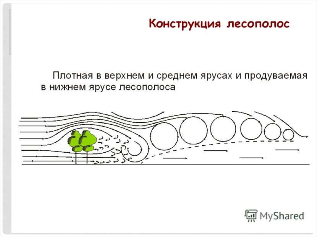 Карта лесополос ссср