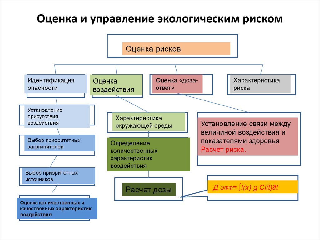 Экологический риск презентация