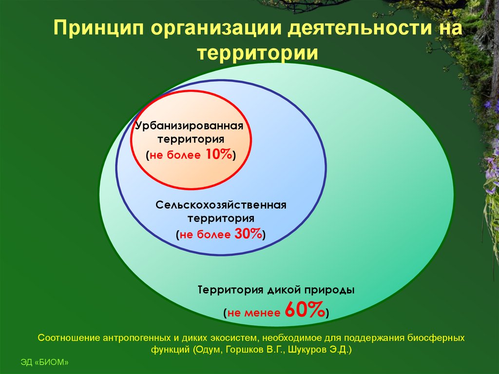 Принцип 30 30 30. На территории деятельности. Территория деятельности компании.