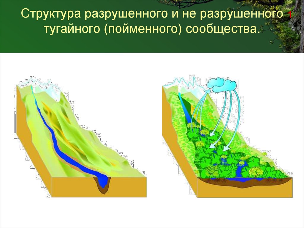 Разрушение структуры. Пойменная область внешней памяти.