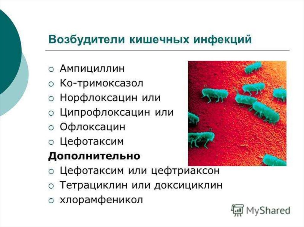 Возбудители инфекционных заболеваний презентация