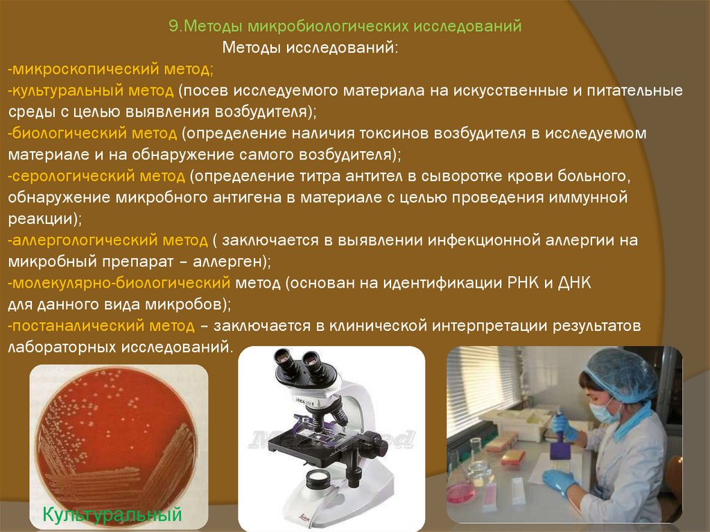 Микробиологическая лаборатория презентация