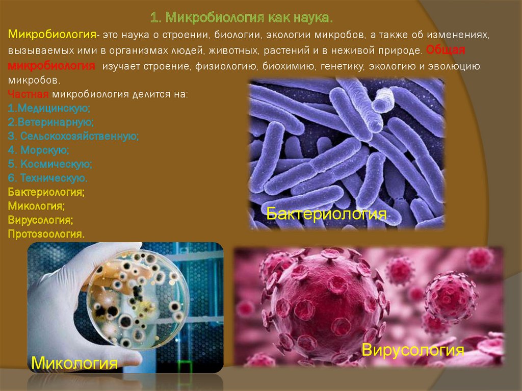 Микробиология это наука изучающая