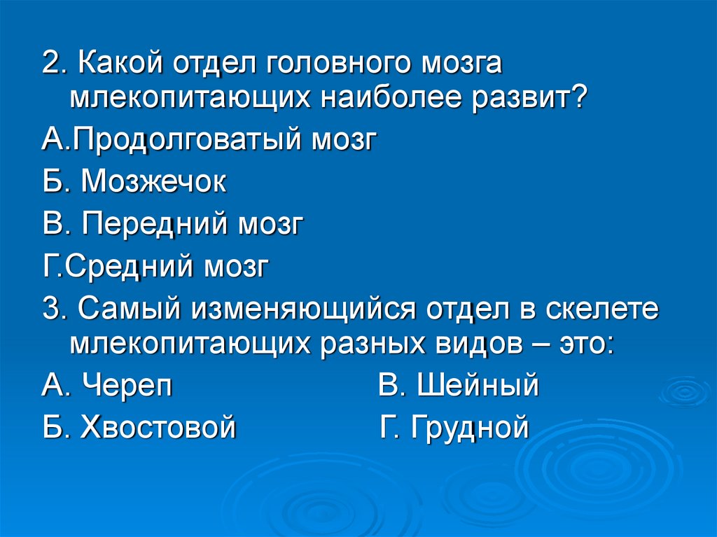 Многообразие млекопитающих презентация 7 класс