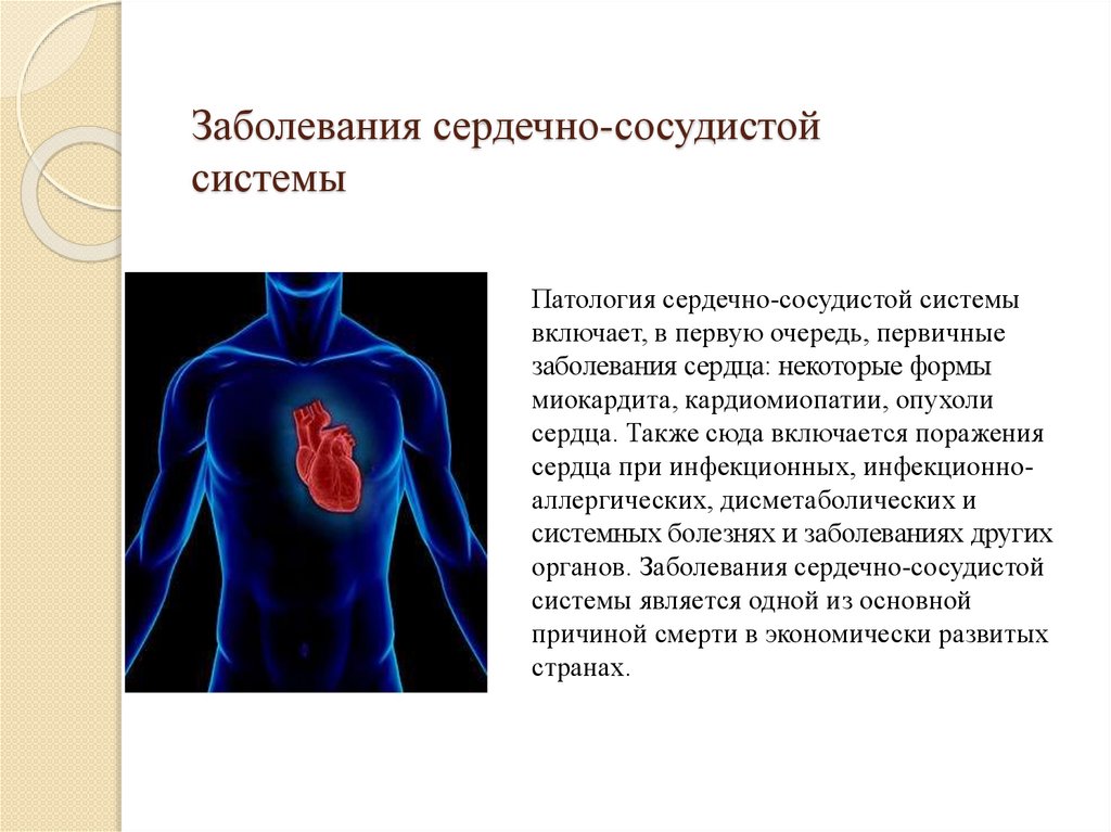 Сердечный ковид. Болезни сердечно-сосудистой системы. Патология сердечно сосудистой системы. Заболевания сердца сосудистой системы.