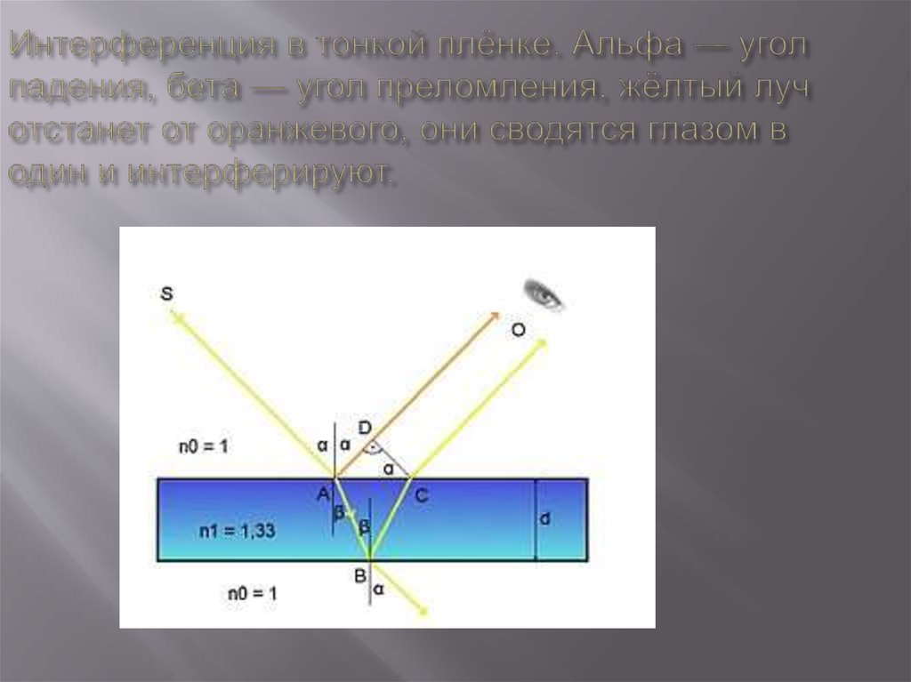 Угол альфа равен углу бета