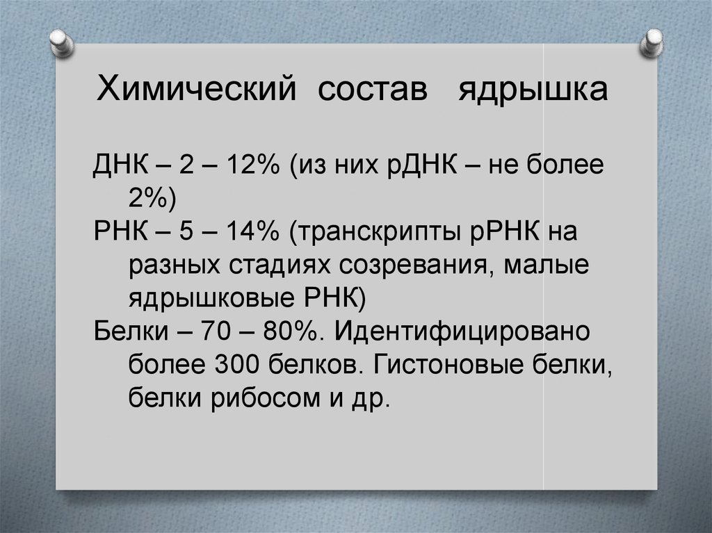 Каков химический. Основные химические компоненты ядрышка. Химический состав ядрышка. Химический состав строение и функции ядрышка. Каков химический состав, строение и функции ядрышка?.