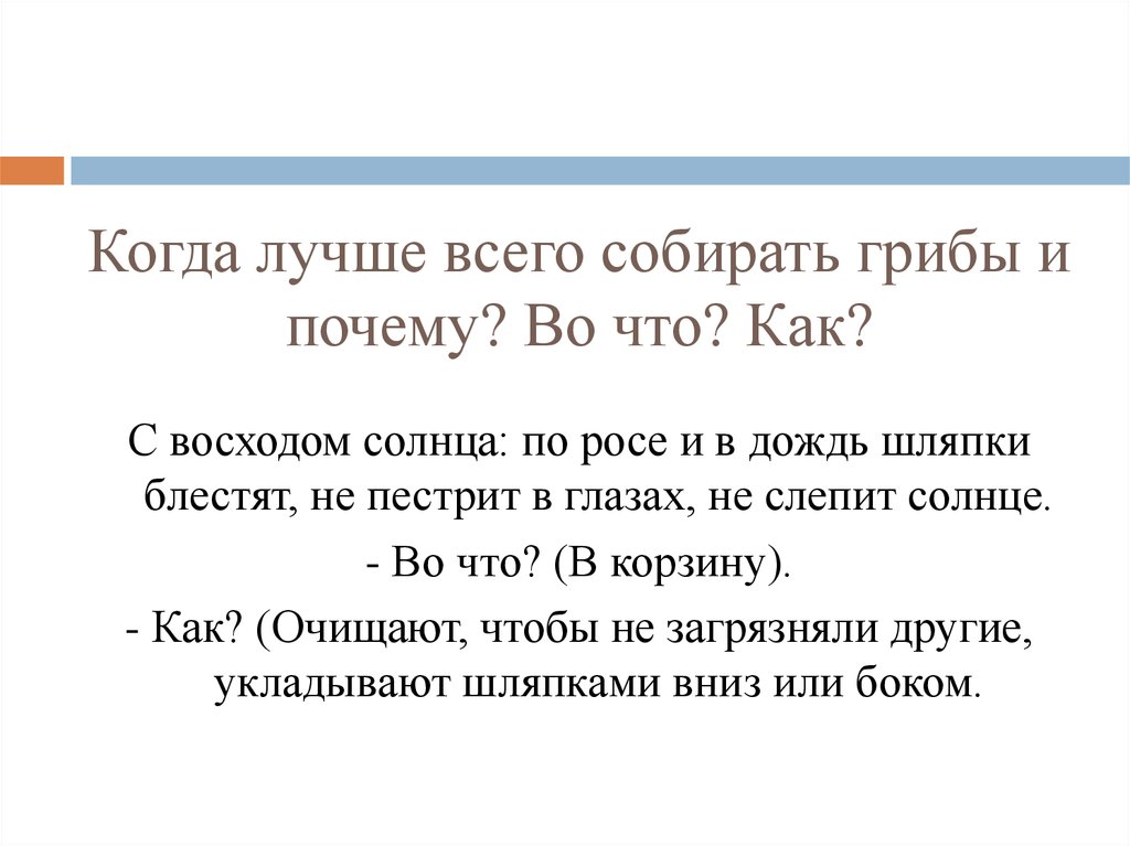 Почему собираюсь. Когда лучше собирать грибы. В какой половине дня нужно собирать грибы.