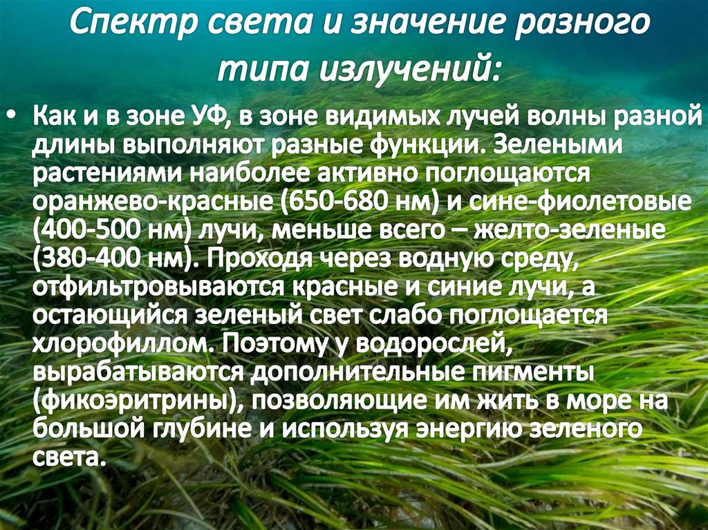 Панова презентации по окружающему миру 4 класс