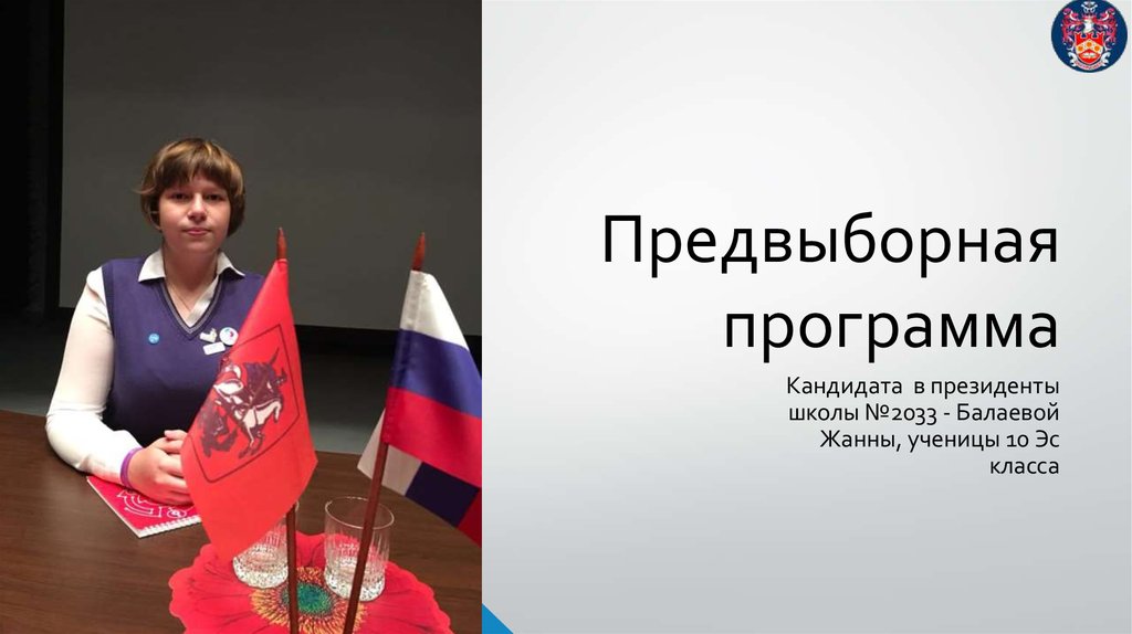 Предвыборная программа