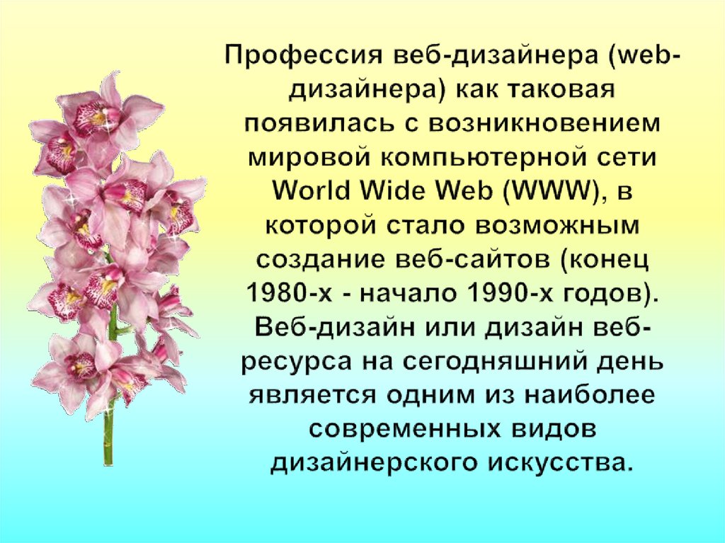 Профессия веб-дизайнера (web-дизайнера) как таковая появилась с возникновением мировой компьютерной сети World Wide Web (WWW),