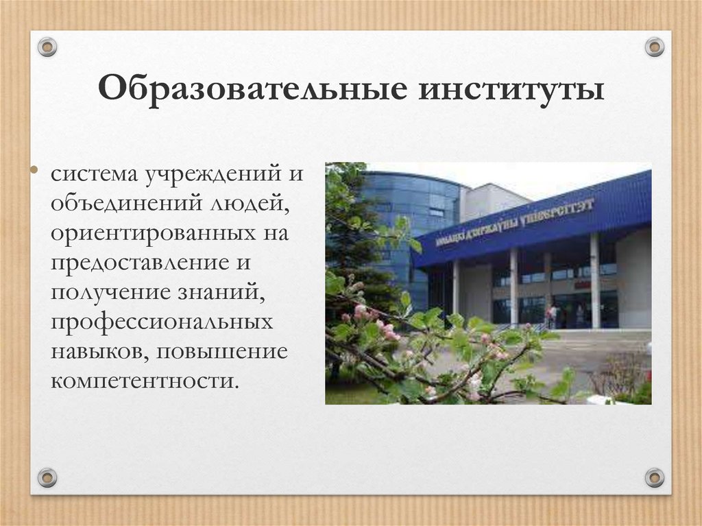 Функции института образования презентация