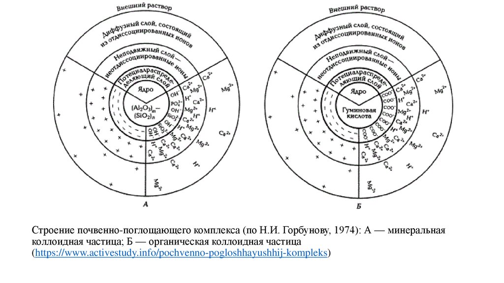 Комплекс почв. Строение почвенных коллоидов. Почвенно поглотительный комплекс. Почвенный поглощающий комплекс. ППК почвенно поглощающий комплекс.