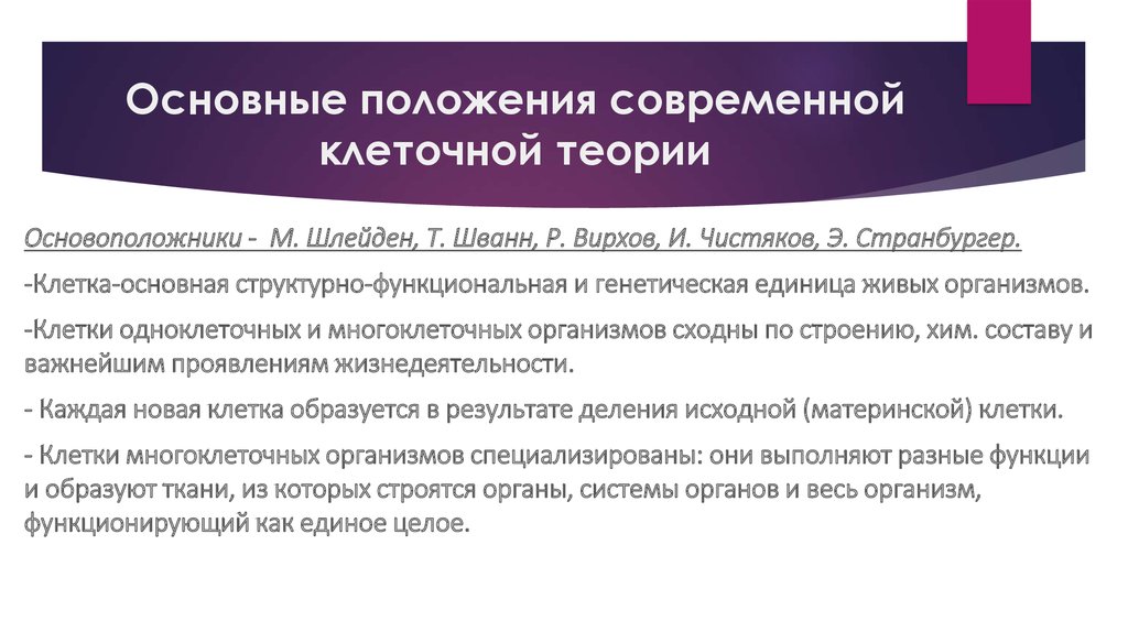 Современные положения клеточной теории. Основные положения современной клеточной теории основоположники. Функции которые выполняет современная клеточная теория. Выберите положение современной клеточной теории. Три функции которые выполняет современная клеточная теория.